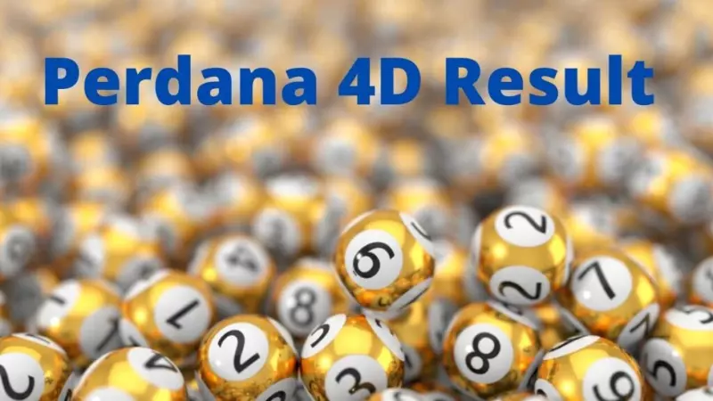 Perdena 4D与Perdena 3D的区别