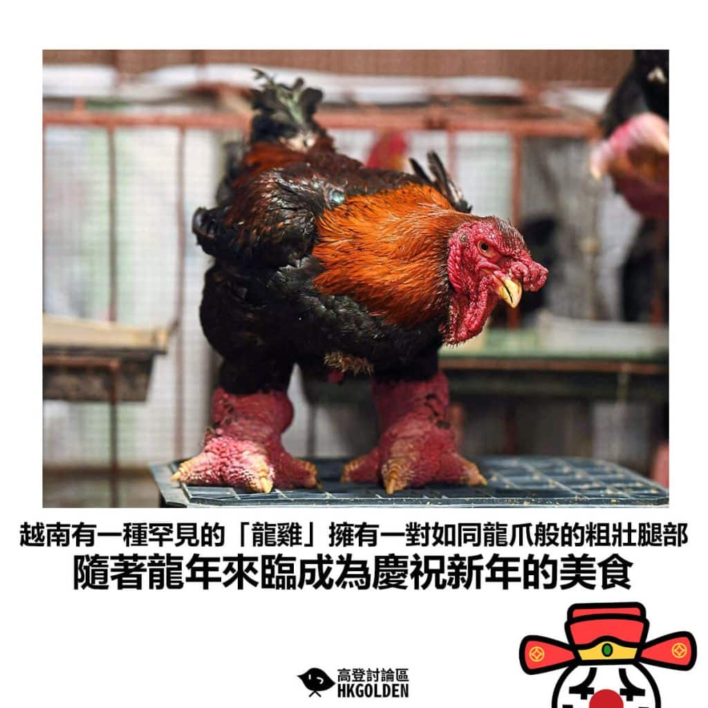 三行鳞鸡的优劣-米兰